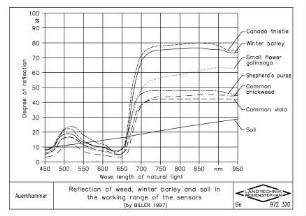 Reflection of weed, winter barley and soil in the working range of the sensors (by BILLER, R. 1997)