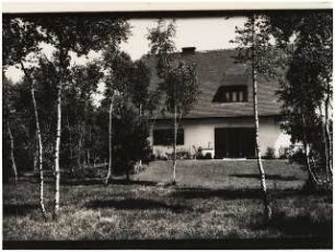 Wohnhaus und Garten [noch nicht indentifiziert]: Blick vom Garten durch Birken auf das Haus