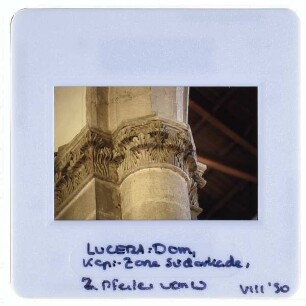 Lucera, Kathedrale : Detailansicht Kapitell Pfeiler Südarkade Langhaus