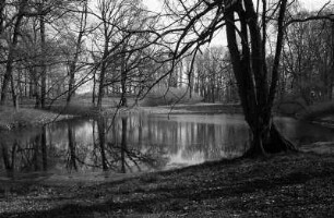 Blumberg