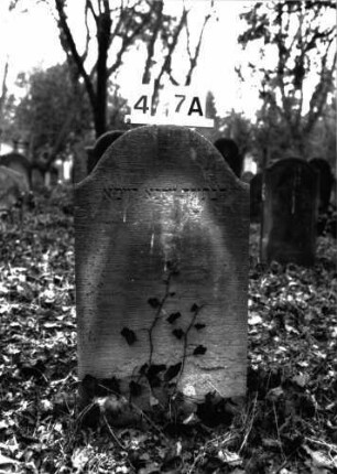 Grabstein A I/4/7A