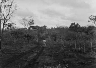 Tafelland : Blick über das Tafelland in Brasilien nahe des Landguts Boa Esperança.