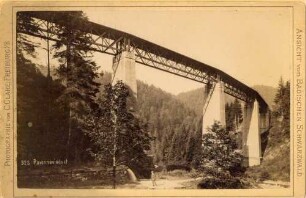 Ansichten vom badischen Schwarzwald: Ravennaviaduct