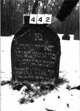Grabstein 442