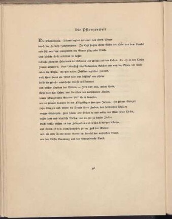 Die Pflanzenwelt