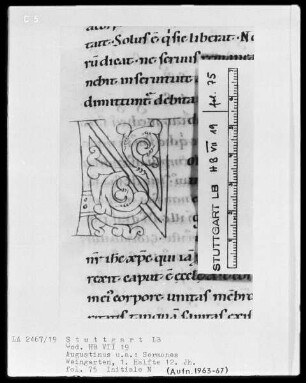 Augustinus, Sermones — Initiale N, Folio 75recto
