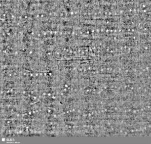 GLN + 1768 = S.10/10a