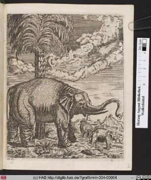 [Elefanten in Landschaft]