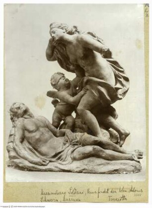 Venus findet den toten Adonis