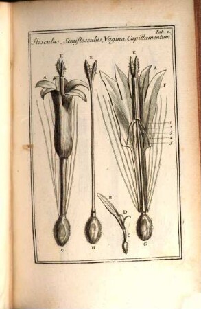 Élémens de botanique ou méthode pour connoitre les plantes, 5