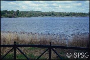Potsdam, Schlossgarten Glienicke, Blick vom Casino auf die Havel.