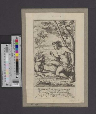 [Venus ermahnt den weinenden Amor]