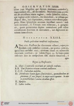 Observatio XXIII