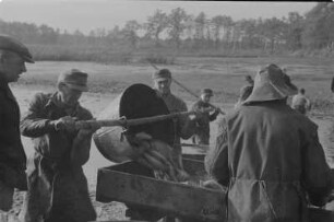 Abfischen in Königswarthaer Teichen. : Rybjace žně w Rakečanskich hatach.