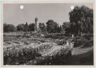 Essen, Grugapark