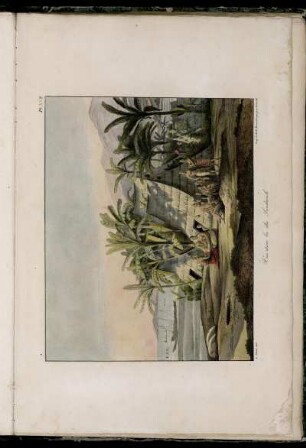Pl. XVII. Vue dans les îles Sandwich