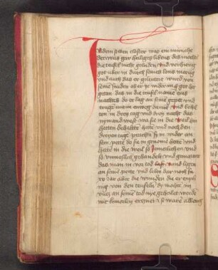 Rote Lombarde, Ausläufer bildet eine Schlinge