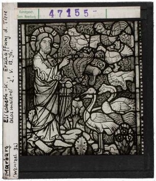 Marburg, Elisabethkirche: Erschaffung der Tiere, 2. Viertel 13. Jhd.