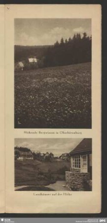 Landhäuser auf der Höhe