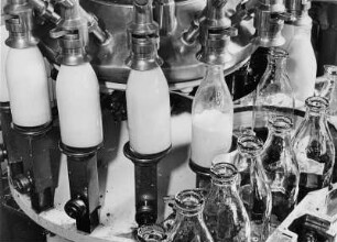 Molkerei Alstermilch. Automatische Flaschenfüllung in einer Abfüllanlage