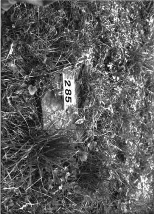 Grabstein 285