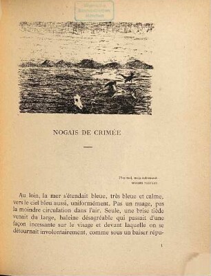 Au Caucase : Dessins originaux de Daniël de Haene