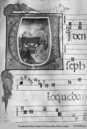 Codex D - Codice D