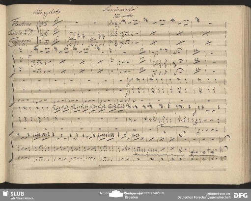 Terzett mit Chor (fl, tr, timp)