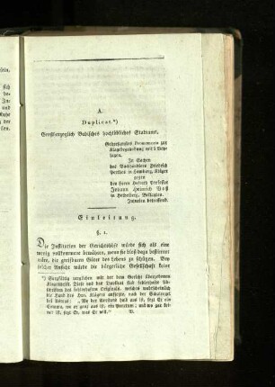 A. Duplicat. Großherzoglich Badisches hochlöbliches Stadtamt.
