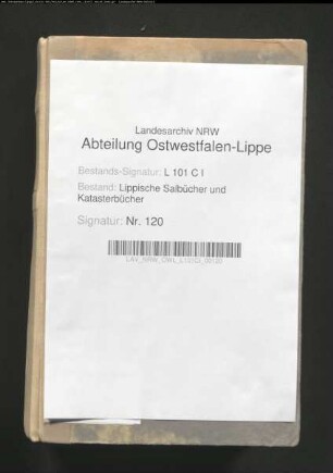 Salbuch der Vogtei Lage von 1829, Bd. 2 (Duplikat)