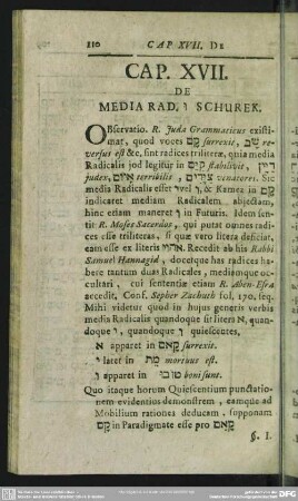 Cap. XVIII. De Media Rad. Z Schurek