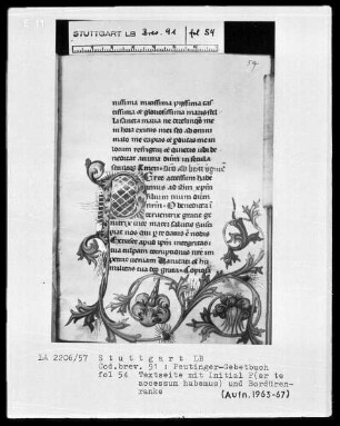 Gebetbuch des Konrad Peutinger — Initiale P(er te accessum habemus) mit anschließender Blumenranke, Folio 54recto