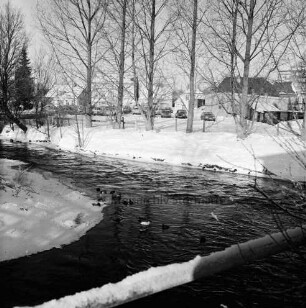 Trave: Beste: Zusammenfluss: vorn Wassergeflügel im Wasser: rechts und links am Ufer Eisränder: hinten Baumreihe: dahinter Parkplatz mit Pkws an der Lübecker Straße: im Hintergrund Häuser: Winter