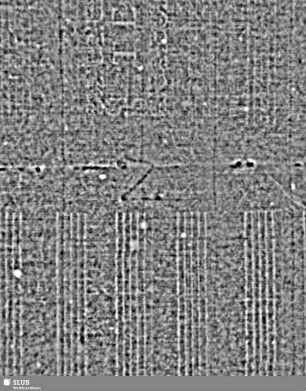Buchstabe Z = S.13-16