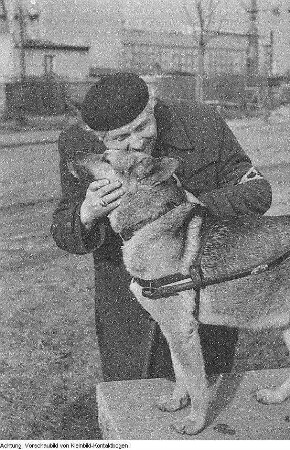 Heinrich Dathe mit Blindenhund, Laubfrosch unter Sonnenhut, junger Turmfalke, 1956