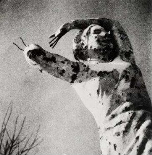 Russland, 1943