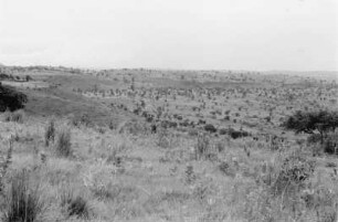Savanne bei Gambela (Äthiopienreise 1937/1938 - 7. Flugreise nach Dembi Dolo und Ausflüge ins Umland)
