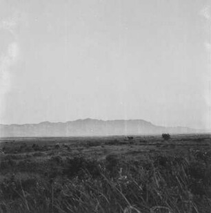 Grabenbruch : Blick zum Westrand des Grabenbruchs
