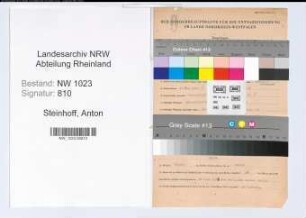 Entnazifizierung Anton Steinhoff , geb. 12.05.1904 (Vers.Angest.)