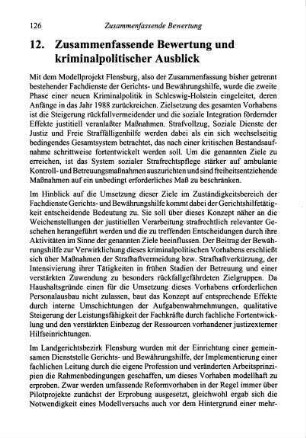 126-130, 12. Zusammenfassende Bewertung und kriminalpolitischer Ausblick