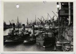 Bremen, Freihafen