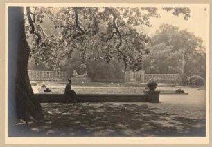 Fotoalbum: Ausstellungsgarten Jubiläums-Gartenbau-Ausstellung 1926, Dresden: Eichenhof und großer Rosengarten