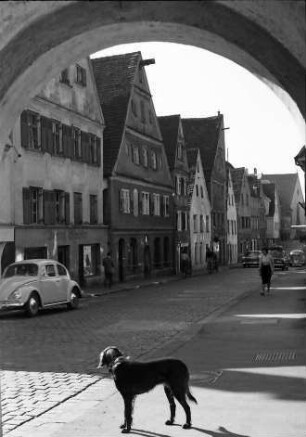 Memmingen: Torbogen mit Hund