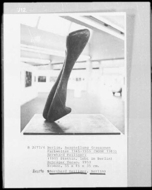 Schräger Torso