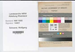Entnazifizierung Wolfgang Schoene, geb. 28.08.1906 (Ingenieur)