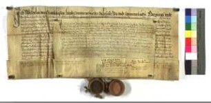 Der deutsche Orden belehnt den Alhart von Hörde, Verwalter der Ordenhäuser Fritzlar und Felsberg noch mit der Ordensfischerei zu Ober Möllrich.