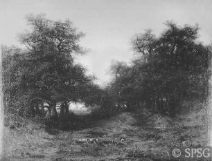 Calame, Alexandre: Waldpartie, 1836 / 1839, GK I 4006. (Verlust)