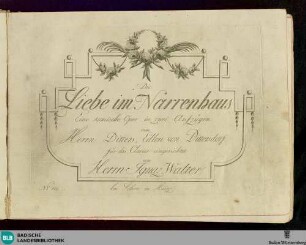 Die Liebe im Narrenhaus : Eine comische Oper in zwei Aufzügen