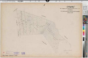 Tungerloh-Pröbsting (Gescher), Umlegung Tungerloh  Weißes Venn, Bl. 10 Urkarte I Tungerloh-Pröbsting Flur 28,9