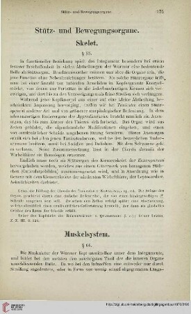 Stütz- und Bewegungsorgane